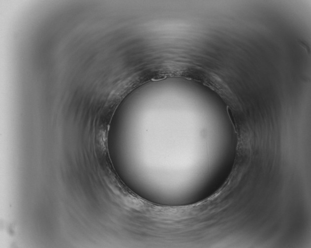 X0000102310045200808011613