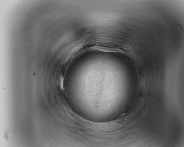 X0000102310046200808011613