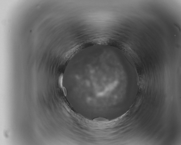 X0000102310047200808011613