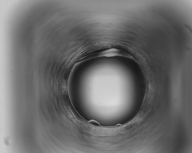 X0000102310048200808011613