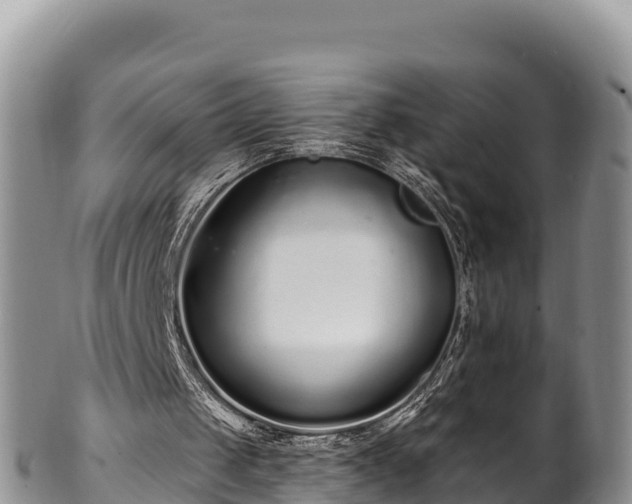 X0000102310049200808011613