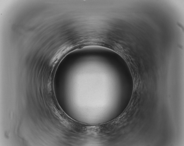 X0000102310050200808011613