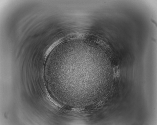 X0000102310051200808011613