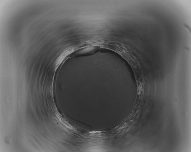 X0000102310052200808011613