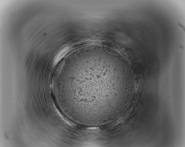 X0000102310053200808011613