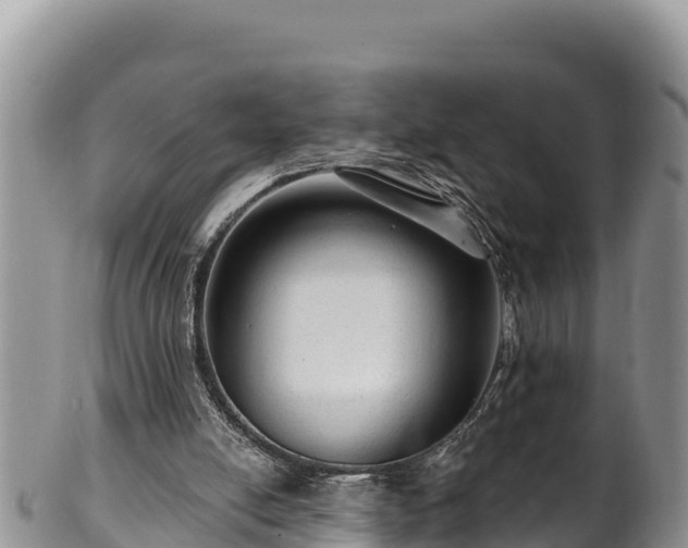 X0000102310054200808011613