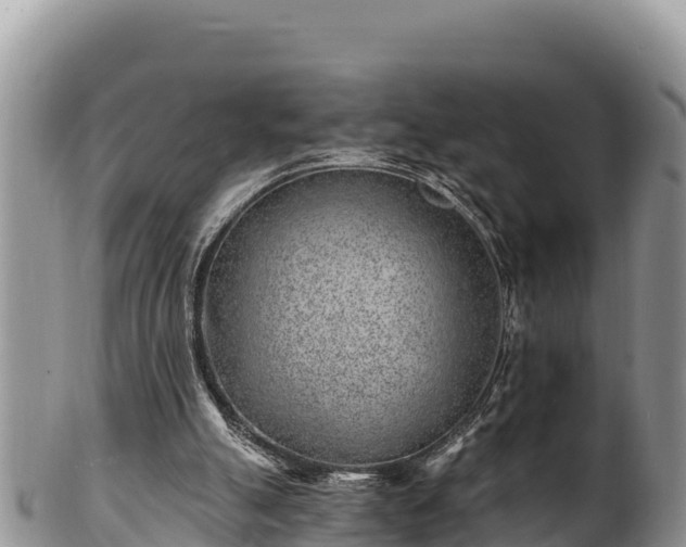 X0000102310055200808011613