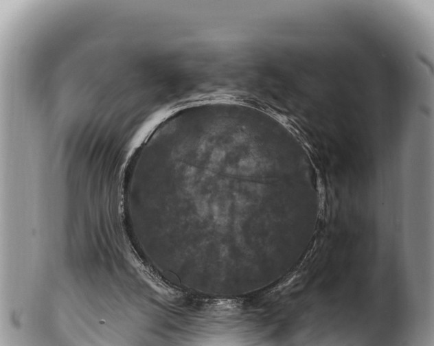 X0000102310056200808011613