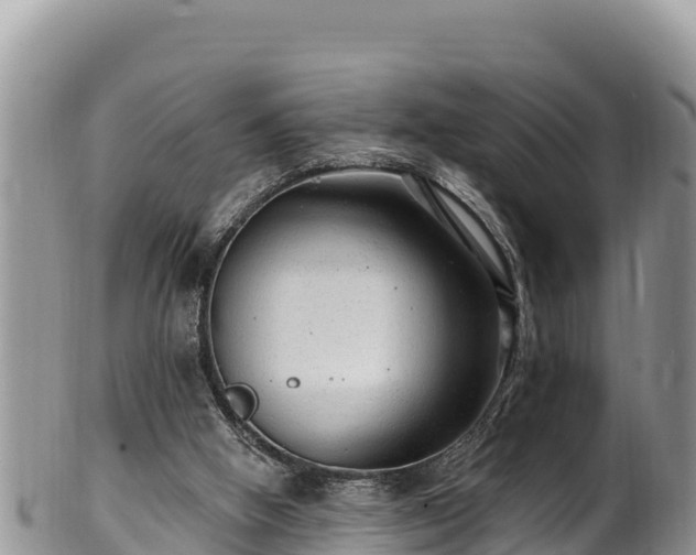 X0000102310058200808011613