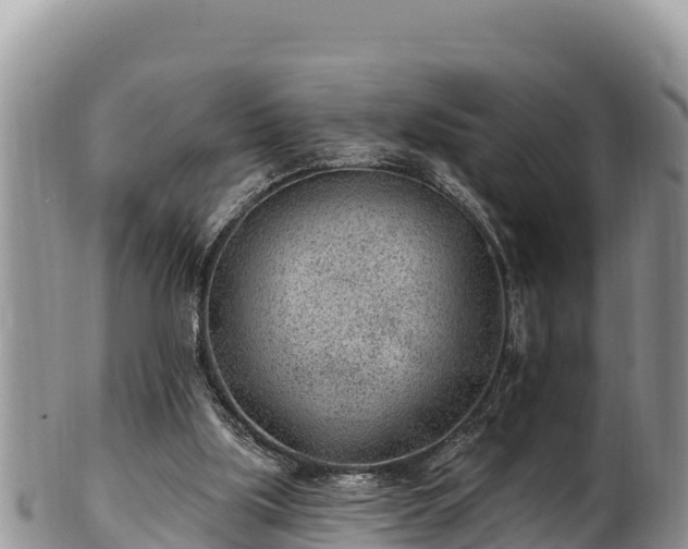 X0000102310059200808011613