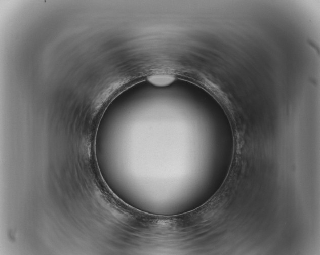 X0000102310060200808011613