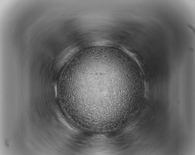 X0000102310061200808011613