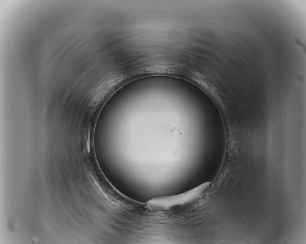 X0000102310062200808011613