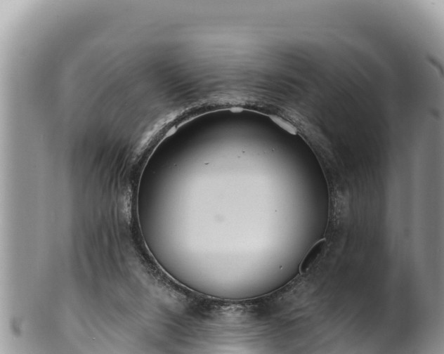 X0000102310064200808011613