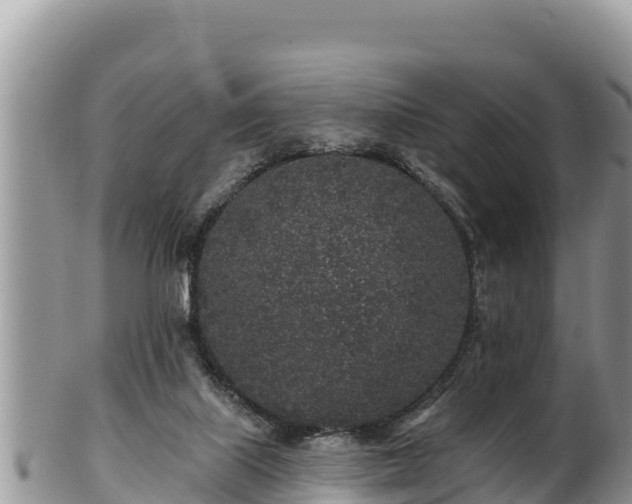 X0000102310067200808011613