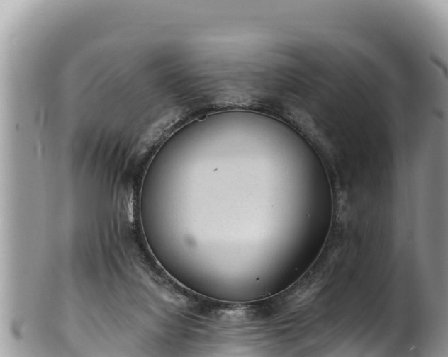 X0000102310068200808011613