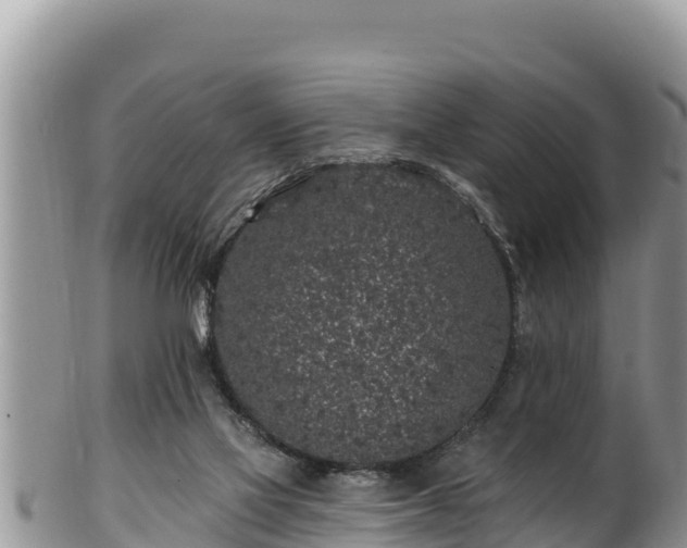 X0000102310069200808011613