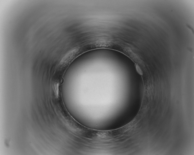 X0000102310070200808011613