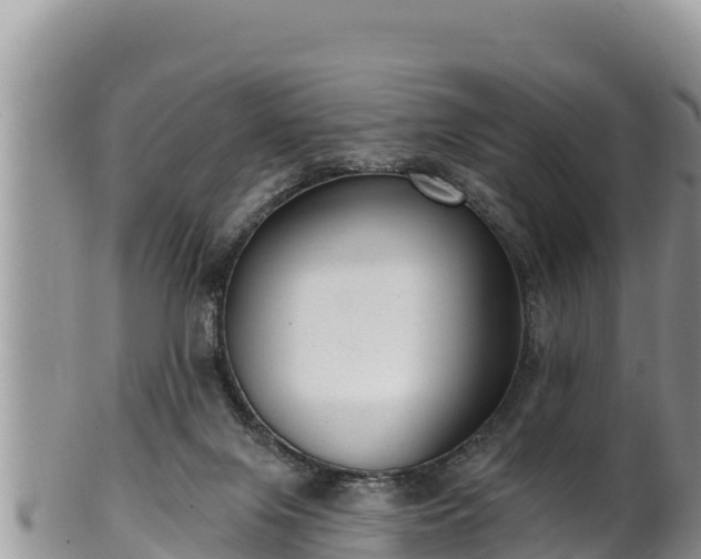 X0000102310071200808011613