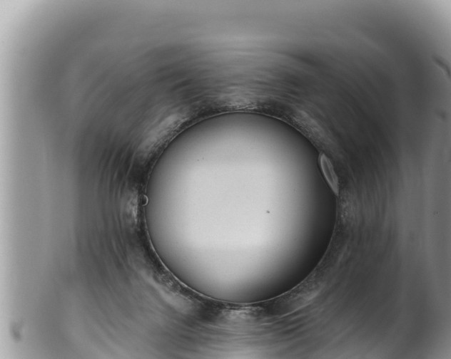 X0000102310072200808011613