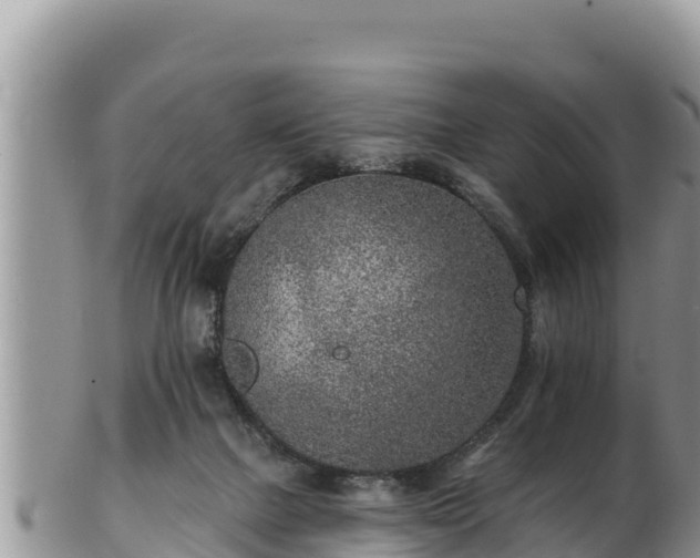 X0000102310073200808011613