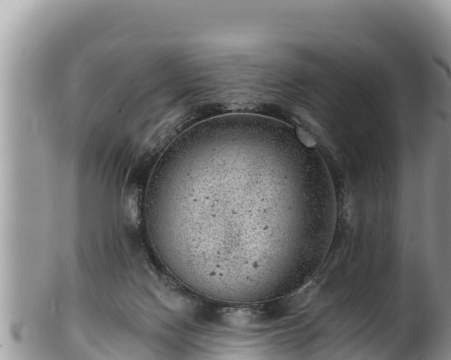 X0000102310074200808011613