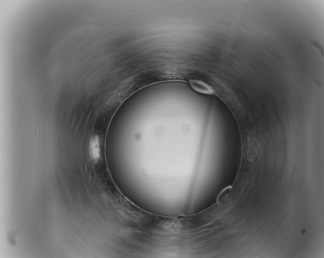 X0000102310075200808011613