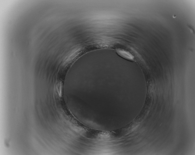 X0000102310076200808011613