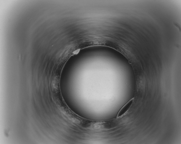 X0000102310078200808011613