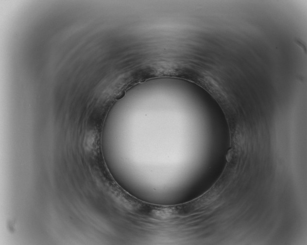 X0000102310079200808011613