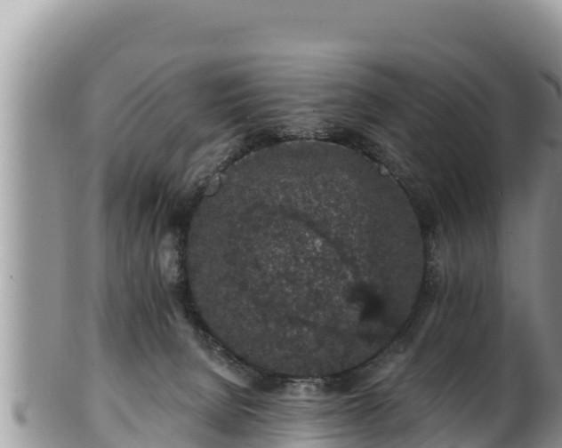 X0000102310080200808011613