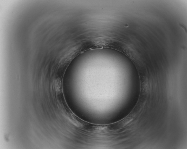 X0000102310081200808011613