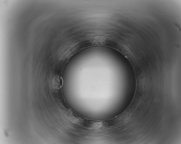 X0000102310083200808011613