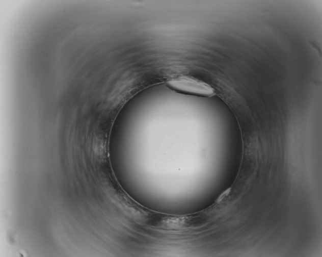 X0000102310084200808011613