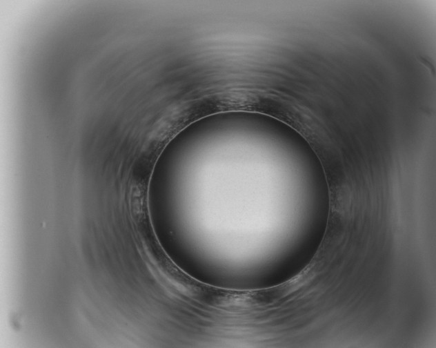 X0000102310086200808011613