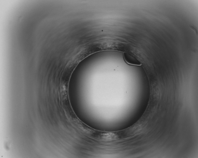 X0000102310087200808011613