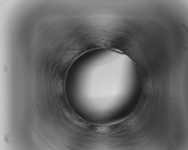 X0000102310088200808011613