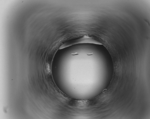 X0000102310089200808011613