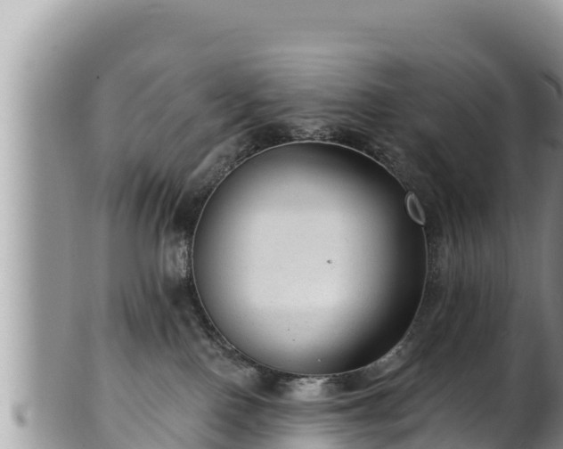 X0000102310090200808011613