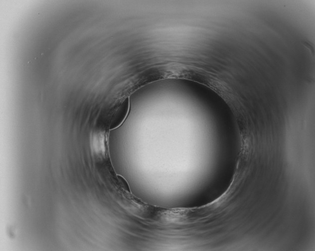 X0000102310094200808011613