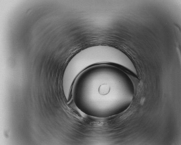 X0000102310096200808011613