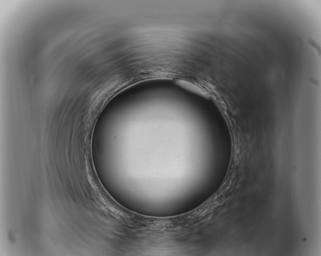 X0000102310097200808011613