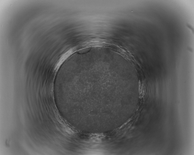 X0000102310099200808011613