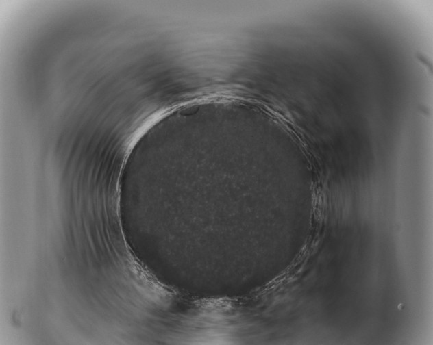 X0000102310100200808011612