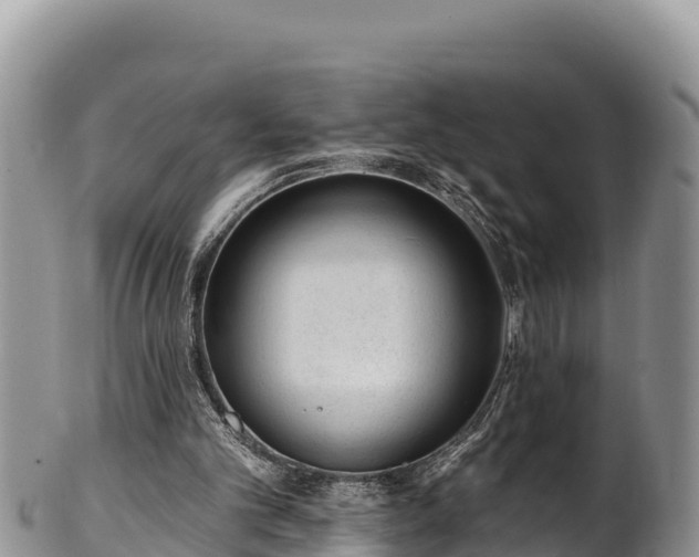 X0000102310101200808011612