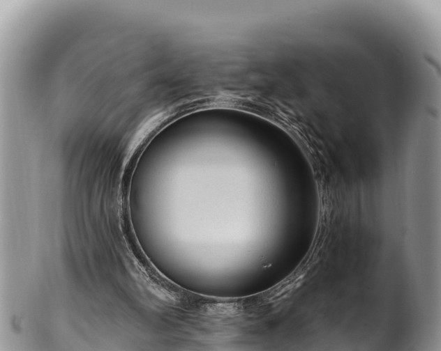 X0000102310102200808011612