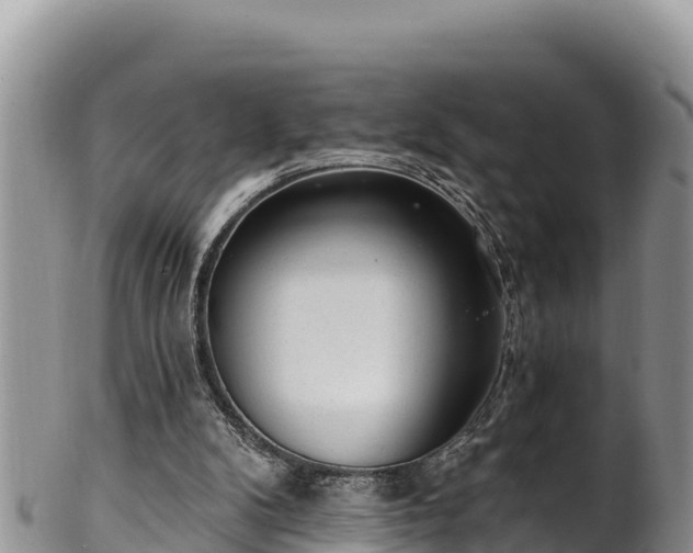 X0000102310104200808011612