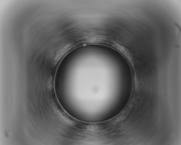 X0000102310105200808011612