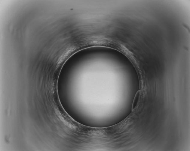 X0000102310106200808011612