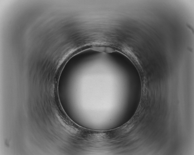 X0000102310108200808011612